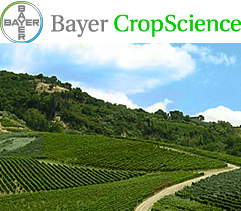 Bayer CropScience, le proposte per il 2009